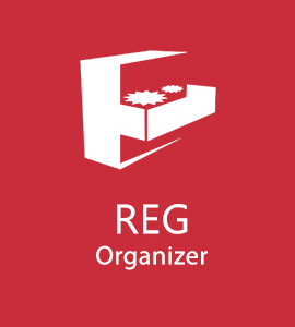 reg organizer
